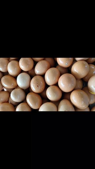 教大家一个煮实蛋不炸壳的小窍门