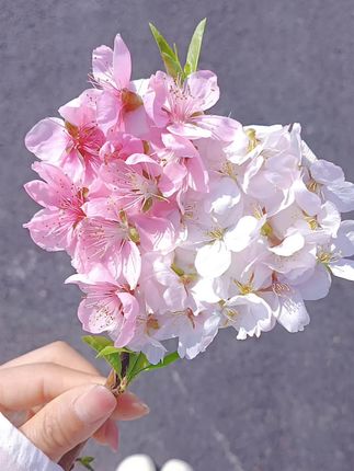 #超便宜超划算