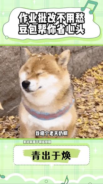 作业批改不用愁豆包帮你省心头 #豆包