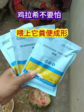 #科学养鸡 #养鸡小妙招 #鸡鸭鹅养殖 #养鸡知识