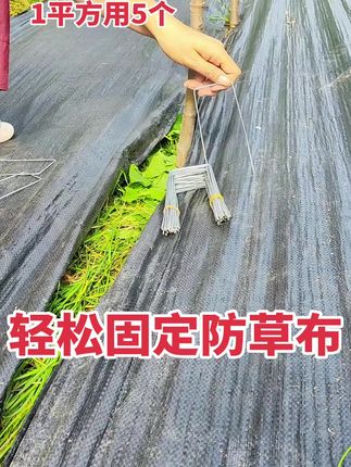 地布钉轻松固定防草布。一平方米防草布用5个地布钉。#果园除草 #防草布 #地布钉 #新型防草布 #农业种植