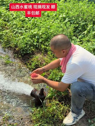心中有佳人,容华若桃李#水蜜桃