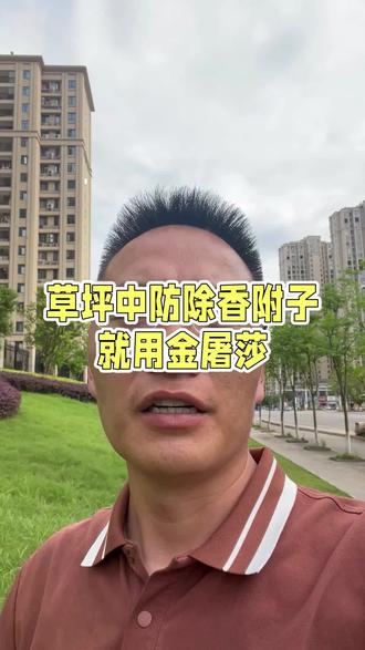 草坪中防除杂草香附子的神器,超管用!