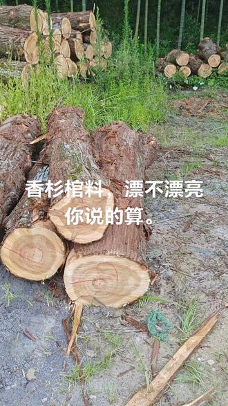 棺料精品一颗一盒子