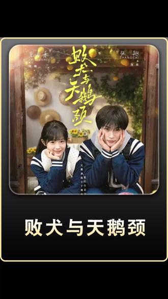 #《败犬与天鹅颈》#红果短剧
