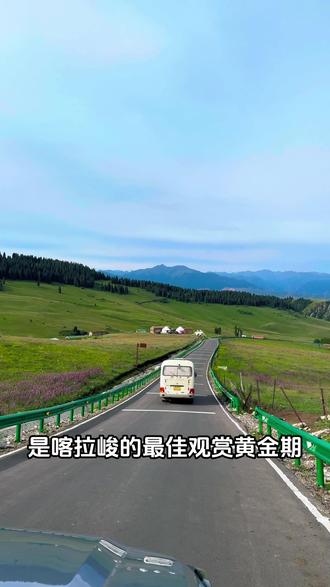 在大草原居然看见骆驼了,还有完全按照八卦图建造的八卦城 #环中国边境自驾之旅