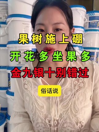 果树一定要用上硼肥!特别是现在这个黄金季节!来年花多果多卖钱多#农业种植 #服务三农 #关注我每天分享种植知识 #果树#硼肥