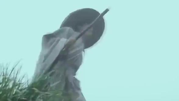 一口气看完秦末隐士黄石公 #科普一下