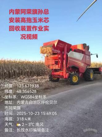 玉米芯,颗粒原料,糠醛厂原料。