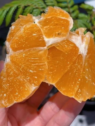 吃着像果冻一样细腻的爱媛果冻橙🍊!皮薄肉厚 清甜多汁 果香浓郁,还没有籽!直接吃或者吸着吃都巨好吃!#爱媛果冻橙 #橙子 #应季水果 #果冻橙 #爱媛38号果冻橙
