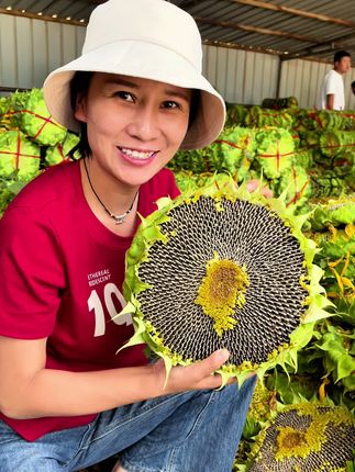 #新鲜采摘 #葵花盘 #鲜瓜子 #快来一起尝个鲜 #新鲜向日葵