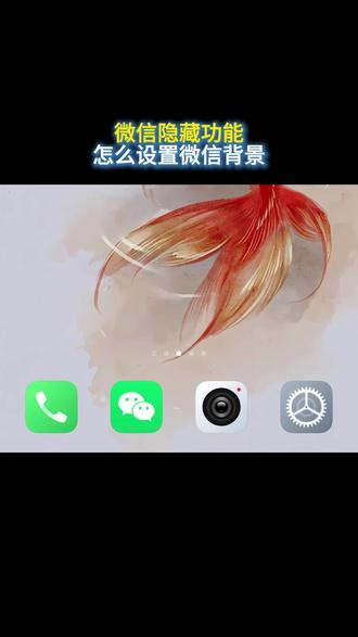 微信隐藏功能,怎么设置微信背景 #微信 #微信背景图 #微信隐藏功能 #微信使用小功能 #知识前沿派对
