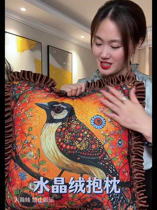 #抱枕 #水晶绒抱枕 #沙发抱枕靠枕