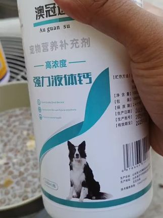 #实战猎犬 #格力犬 #灵缇犬格力犬惠比特 #猎兔犬 #惠比特