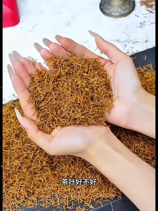 全芽金骏眉来了,颗颗金芽,蜜香浓郁,好喝不贵#金骏眉#芽种芽金骏眉#金骏眉红茶#红茶