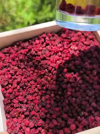 #五味子 #五味子茶 #长白山五味子#三农种植 #好喝不贵