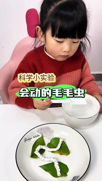 会动的彩色毛毛虫,孩子看得目不转睛!
步骤超简单:画线、卷纸、浇水。亲眼见证“复活”瞬间,科学启蒙就这么有趣。
#科学小实验 #亲子互动 #在家早教 #一张纸巾就能做到的哄娃小游戏 #育儿