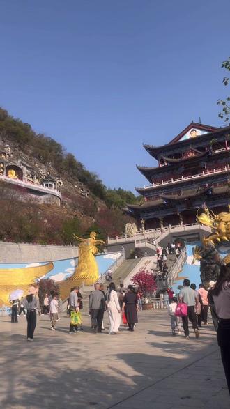三黑固肾是哪几种?如何用?#倪海厦#中医#黑发
