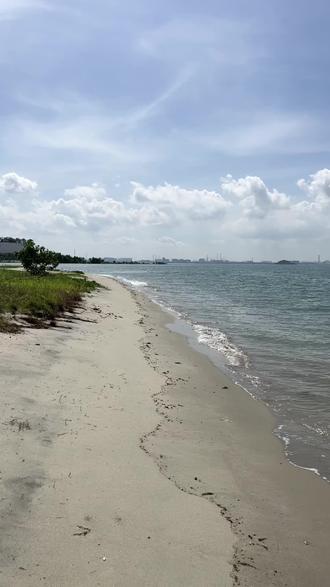 我站在马六甲海峡南岸新加坡🇸🇬西岸马来西亚🇲🇾我所处的位置是森林城市,有很长的海岸线金沙滩,随处可见鱼虾贝类,以及椰树果 子,风景如画#东南亚风情 #永昌朱大少