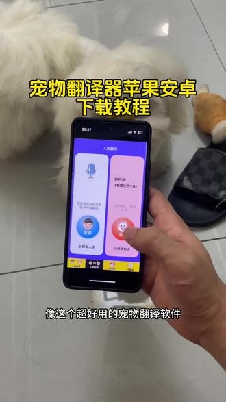 给大家分享一款超好用的宠物翻译软件!#宠物翻译软件 #宠物翻译器软件 #宠物翻译器下载 猫咪翻译器和宠物对话神器 猫咪翻译器在哪里下免费 如何听懂猫咪说话的翻译器 如何听懂猫咪说话的软件 宠物翻译器免费版app 狗语翻译器