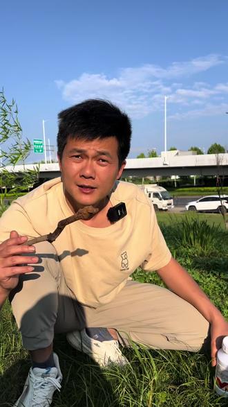 咱们经常活动的地方如果有红火蚁,一定要把它消灭!#红火蚁 #红火蚁入侵 #红火蚁防治 #高效氯氟氰菊酯杀红火蚁