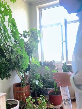 谢谢支持🍎