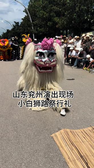 山东兖州演出现场 小白狮路祭行礼二十四拜!送老人最后一程!#舞狮表演 #非物质文化遗产代表性传承人 #原创作品 #热门