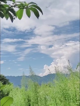 #百事拼拼瓶一起拼脑洞 #简单家常 #酸辣粉