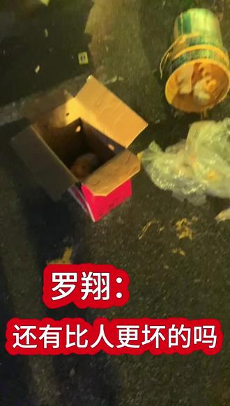 @关爱流浪动物@狗狗是人类最忠诚的伴侣@为人务必要善良#敬畏自然敬畏生命#文明养犬@DOU+小助手