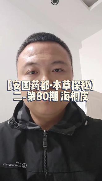 【安国药都·本草探秘】二·第80期【海桐皮】 #用药科普 #中医中药知识 #中药材 #安国药都本草探秘