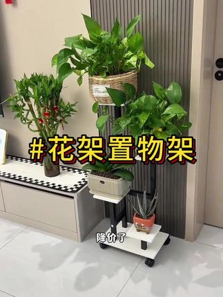 #花架置物架 #置物架 #花架 #移动花架 #美观实用