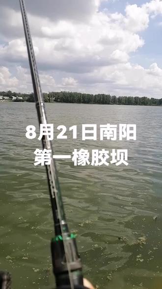 8月21日下午烈日炎炎,南阳第一橡胶坝依然疯狂