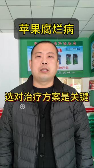 苹果腐烂病防治你做对了吗?#德来氨基酸镁#安必果好吸收起效快#拜耳露娜润在天水#清园安全彻底选万舒甜#安必腾