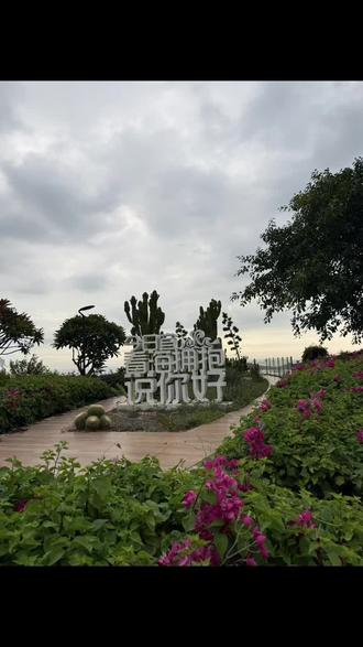 得葩简约透明镜头支架苹果17promax磁吸手机壳iPhone16p防摔15/14#磁吸手机壳#磁吸手机#苹果手机壳#网红手机壳#防摔手机壳