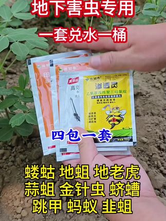 #地上地下害虫专用#防虫小妙招#三农#服务三农支持三农#心系三农服务三农