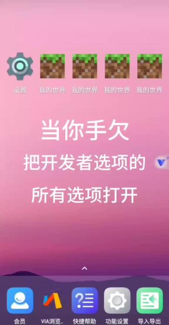 当我手欠把开发者模式里的选项全部打开…