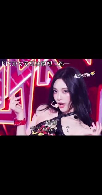 kpop女爱豆动物塑二选一