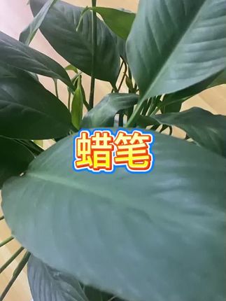 #儿童 #幼儿园手工 #画画