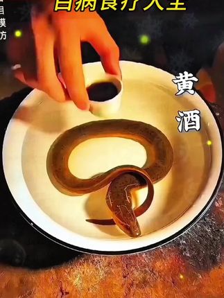 彩色图解百病食疗大全 百科全书式的食物指南用食物治愈身心书籍 #养生之道#养生#养生食疗