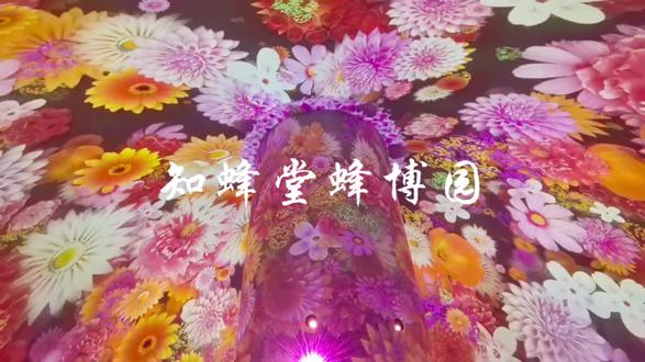 昌平蜂博园的金色蜂巢馆#体验感极强。