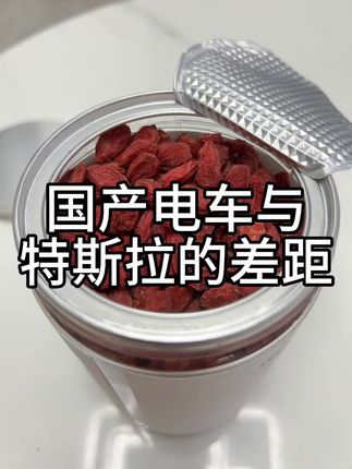国产电车与特斯拉的差距,到底有多大?#懂车帝实测 #特斯拉 #杞逍遥 #中宁枸杞