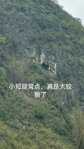 不能打草惊蛇,跟了好久