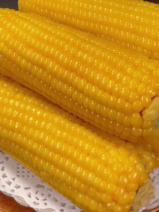 试吃5根19.9到手10根6斤重,而且还都是大棒🌽#东北黄糯玉米 又大又甜又香糯#糯玉米的营养价值 #软糯香甜 大人小孩都爱吃,太香了#哇又便宜又好吃 #粗粮
