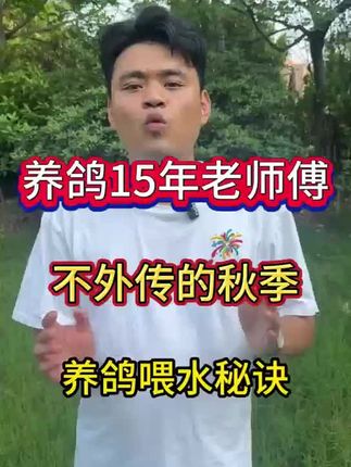 【全蟲清】鸽子家禽线虫绦虫蛔虫体内寄生虫可用健康饮水饲料添加剂#鸽子