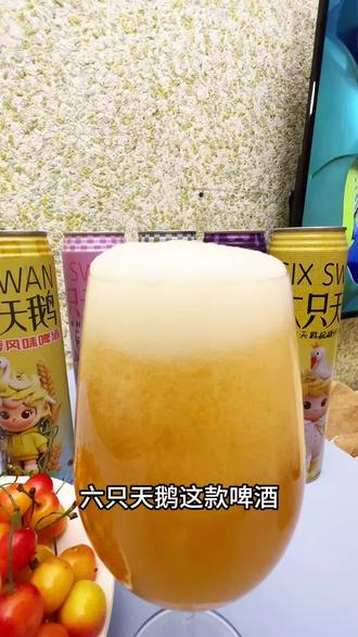 聚会小酌首选的啤酒,#全网热推的好啤酒 #啤酒 #强烈推荐 #六只天鹅啤酒