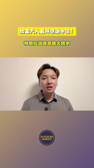 特斯拉加拿大 “大跳水” Model 3 特斯拉加拿大 “大跳水” Model 3 仅 19.8 万比国内便宜