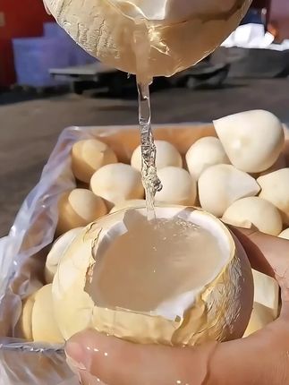 泰国奶香 #椰皇   椰子水清澈清甜,果肉鲜嫩滑#泰国椰皇