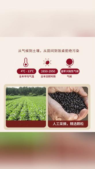 贵妃驾到盐味烘炒黑豆高蛋白香酥脆非油炸绿芯黑豆健康休闲即食#盐味黑豆 #高蛋白零食 #烘炒黑豆 #健康零食 #非油炸零食