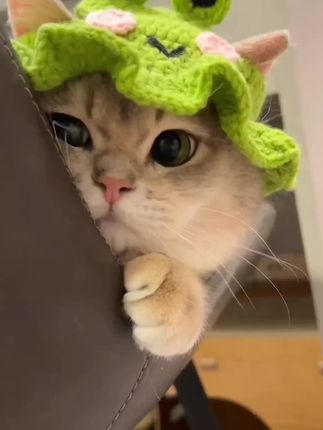 这么可爱的小帽子你家猫咪还没有吗#好 #萌宠好物#猫咪帽子