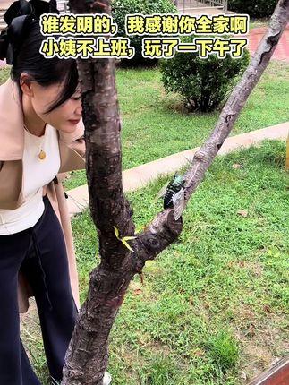 刚看还以为真的呢,太逼真了#玩具